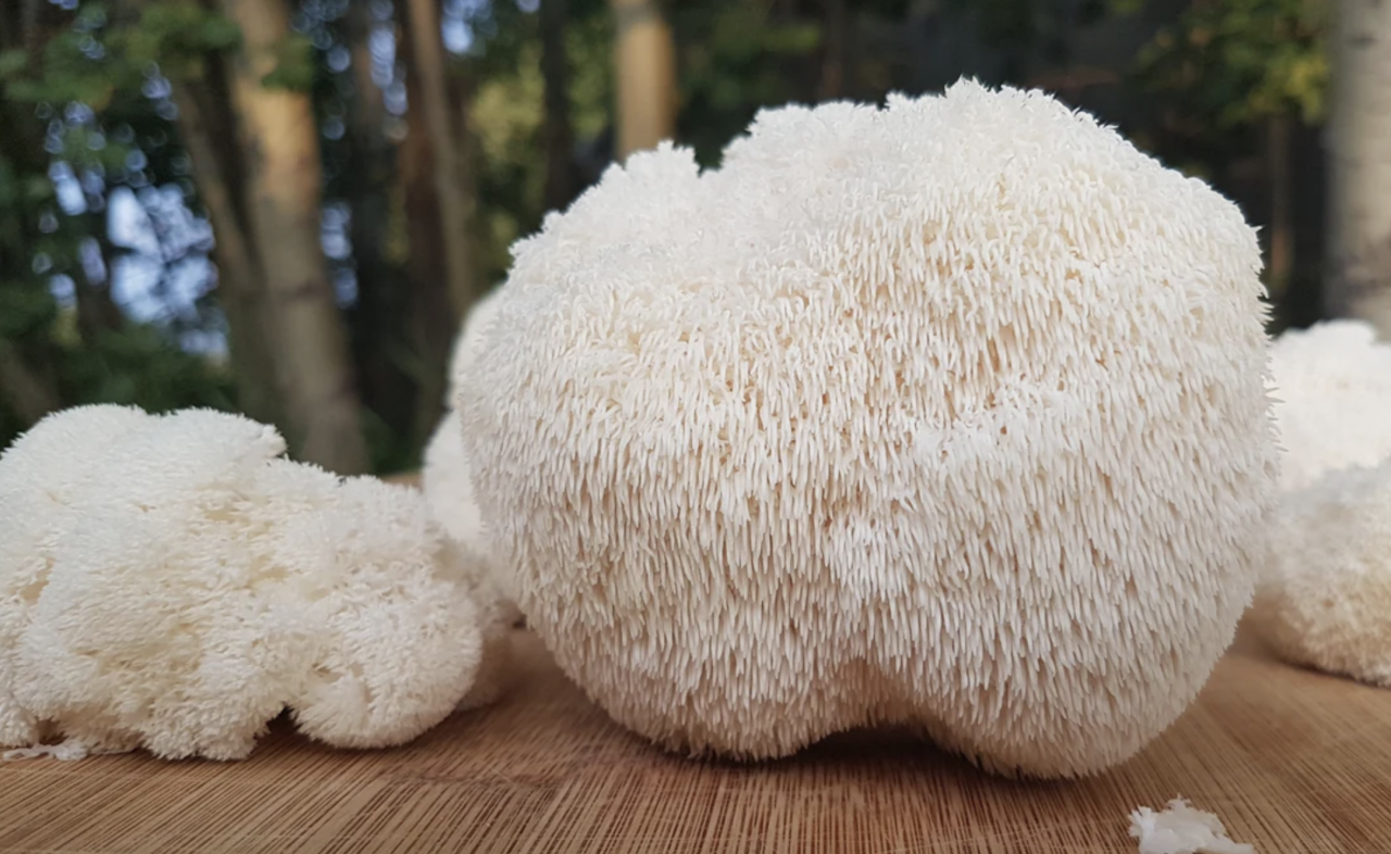 Impactos em sono e bem-estar