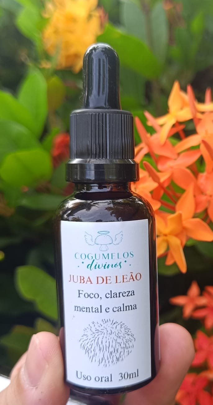 Extrato de Juba de Leão